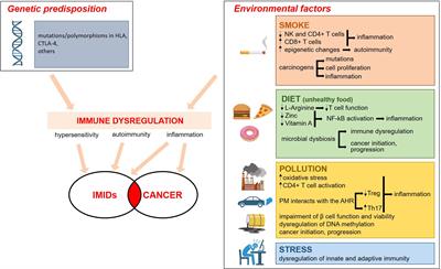 Immune-Mediated Inflammatory Diseases and Cancer - a dangerous liaison